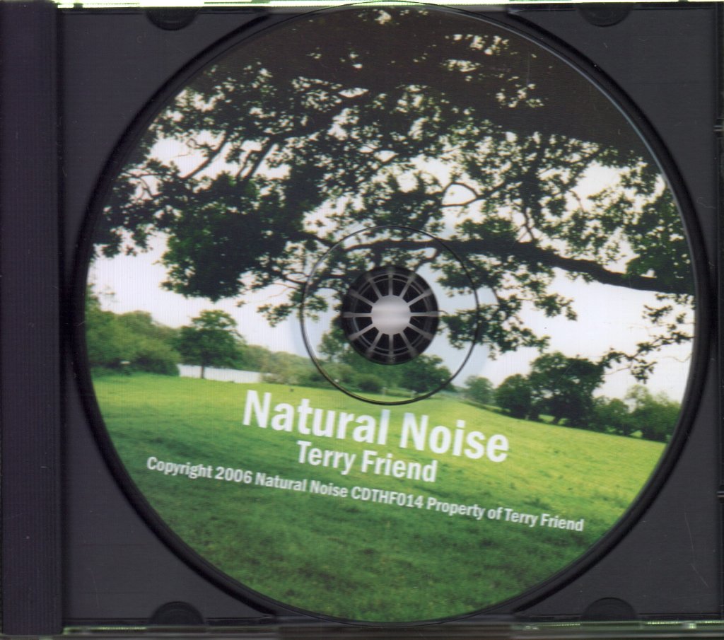 Terry Friend (stonefield tramp) - Natural Noise - Cd