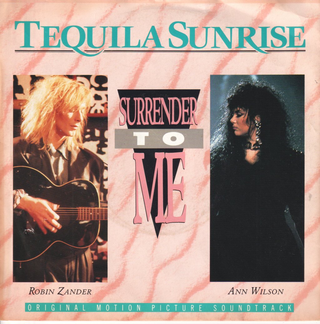Ann Wilson - Surrender To Me - 7 Inch