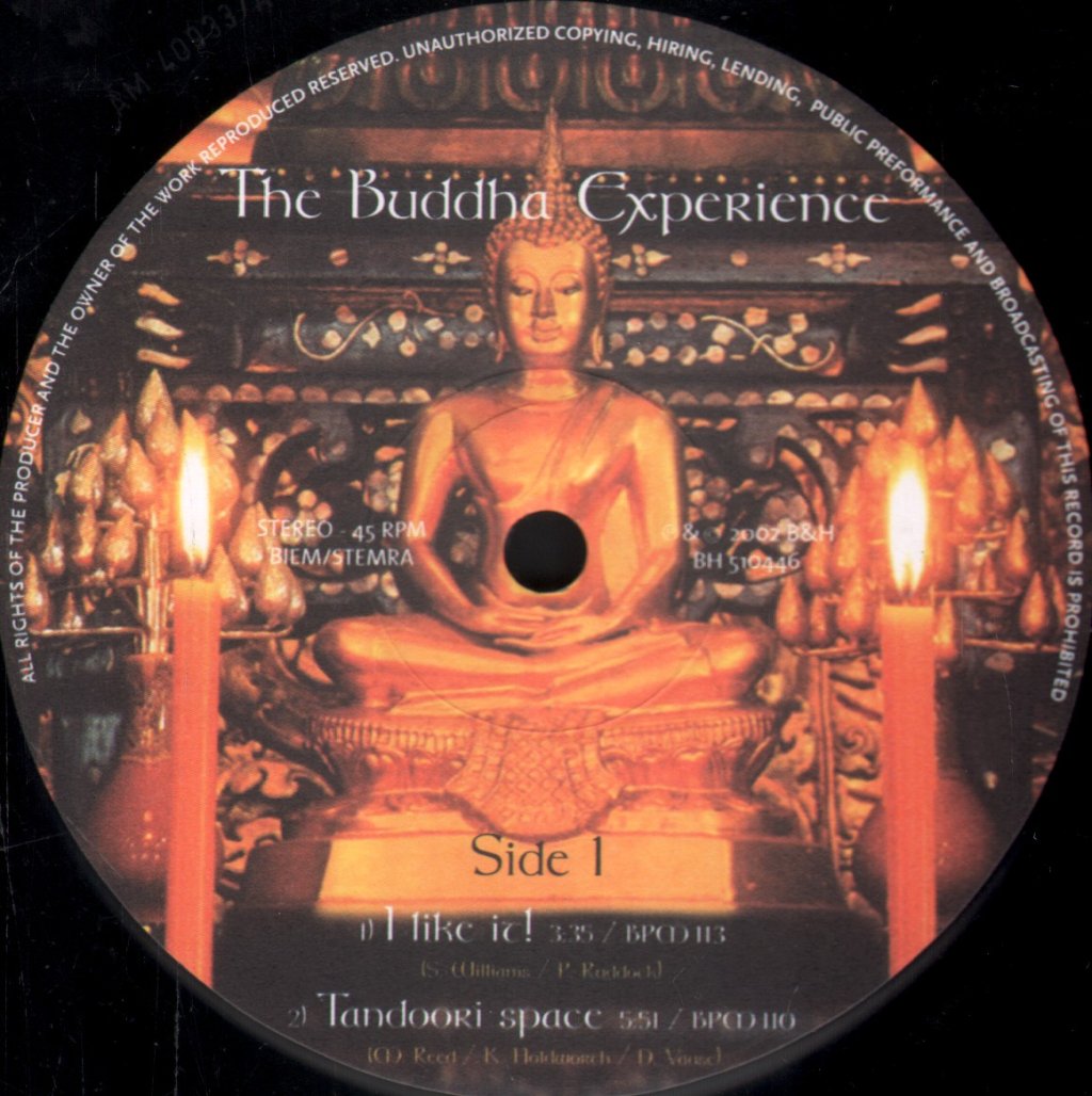 Various Artists - Buddha Experience - 12 Inch