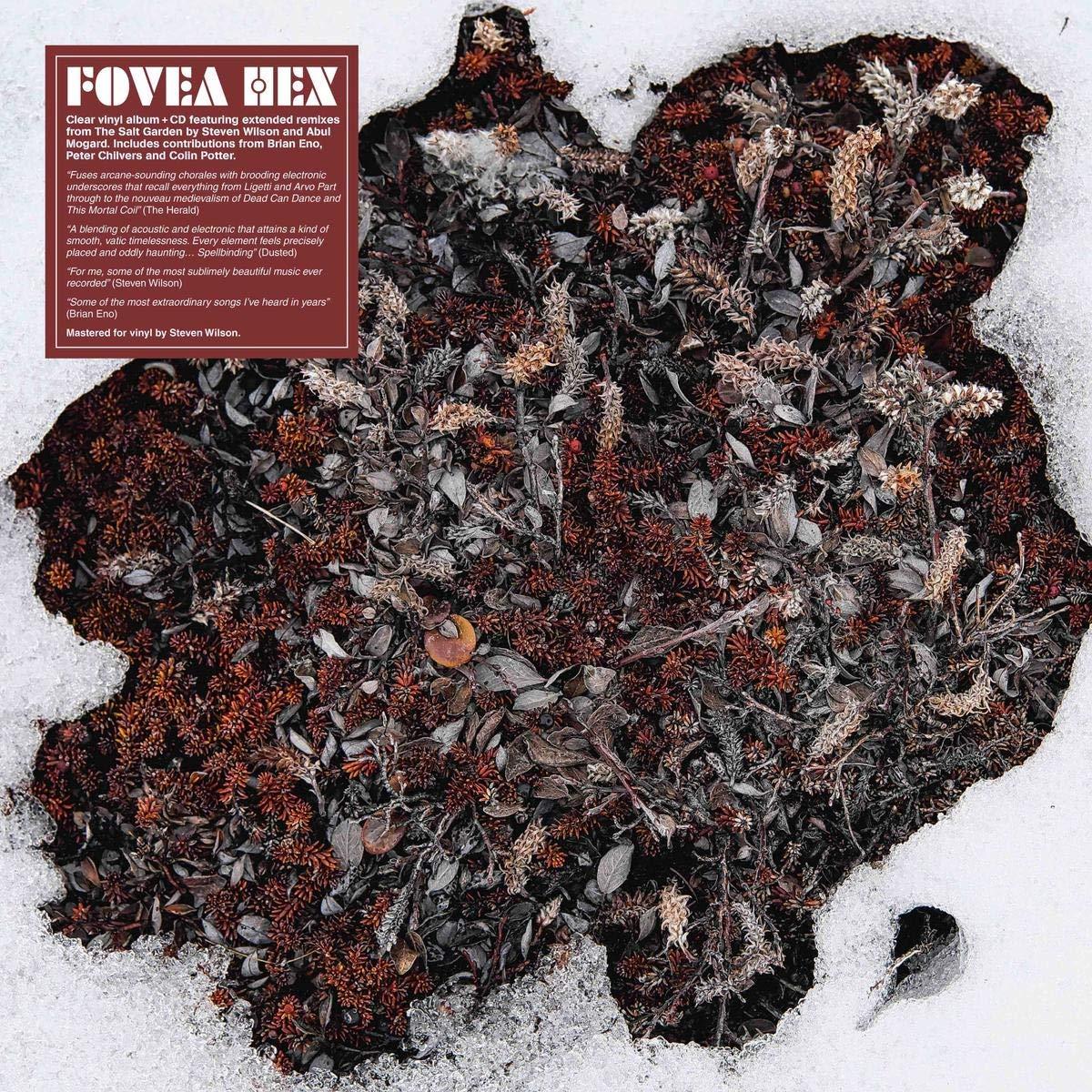 Fovea Hex - Salt Garden (Landscaped) - 12 Inch