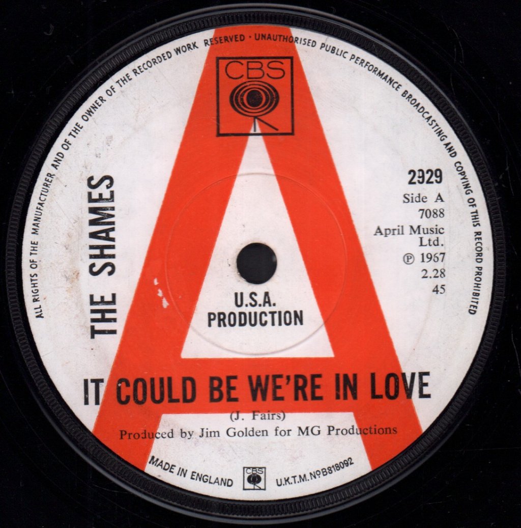 Shames - It Could Be We're In Love - 7 Inch