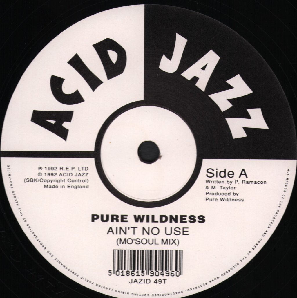 Pure Wildness - Ain't No Use - 12 Inch