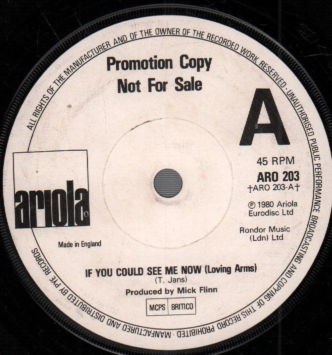 Rosetta Stone (Glam) - If You Could See Me Now - 7 Inch
