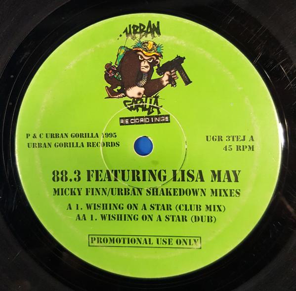 88.3 Featuring Lisa May - Wishing On A Star - 10 Inch