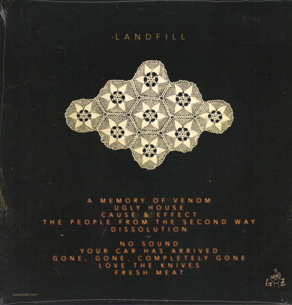 Young Knives - Landfill - Lp