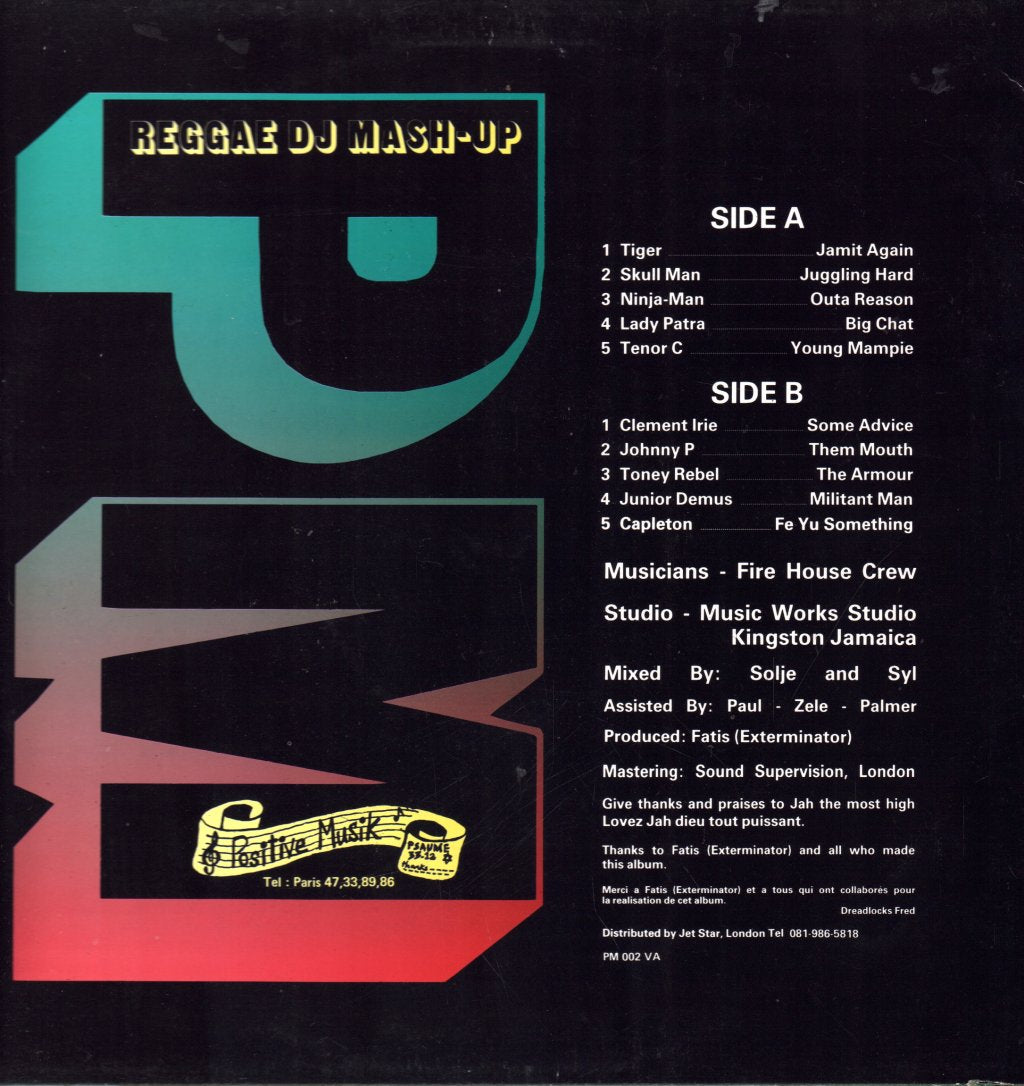 Various Artists - Reggae DJ Mash-Up - Lp
