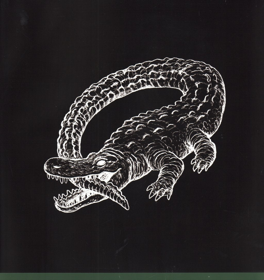 Catfish And The Bottlemen - Ride - Lp