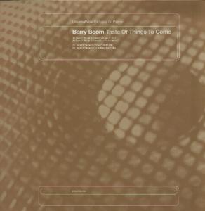 Barry Boom - Taste Of Things To Come - 12 Inch