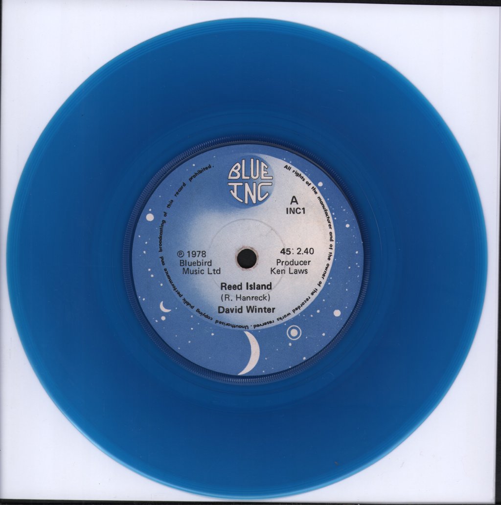 David Winter - Reed Island - 7 Inch