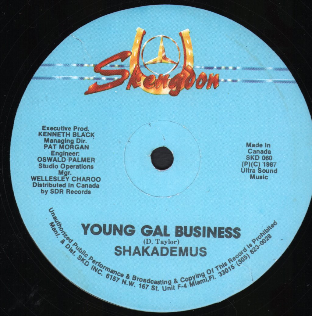 Chaka Demus - Young Gal Business - 12 Inch