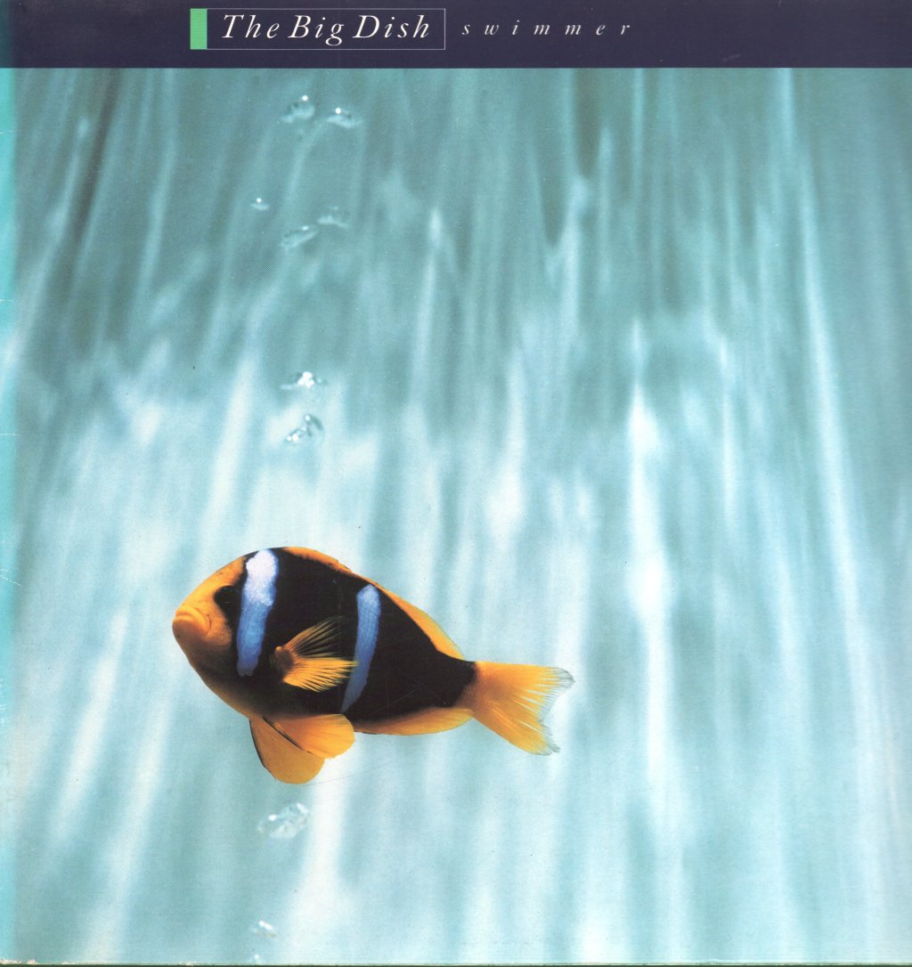 Big Dish - Swimmer - Lp