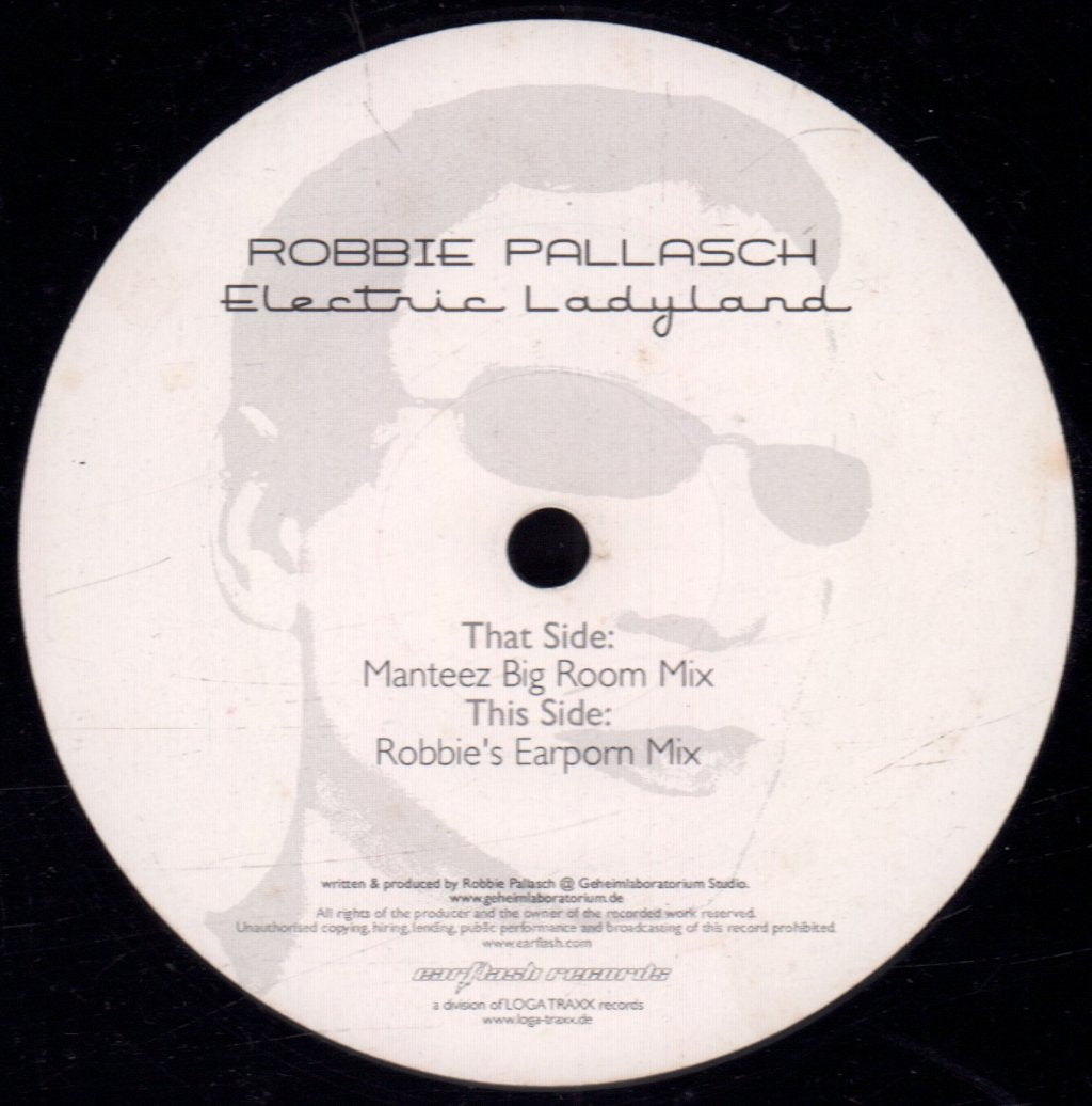 Robbie Pallasch - Electric Ladyland - 12 Inch