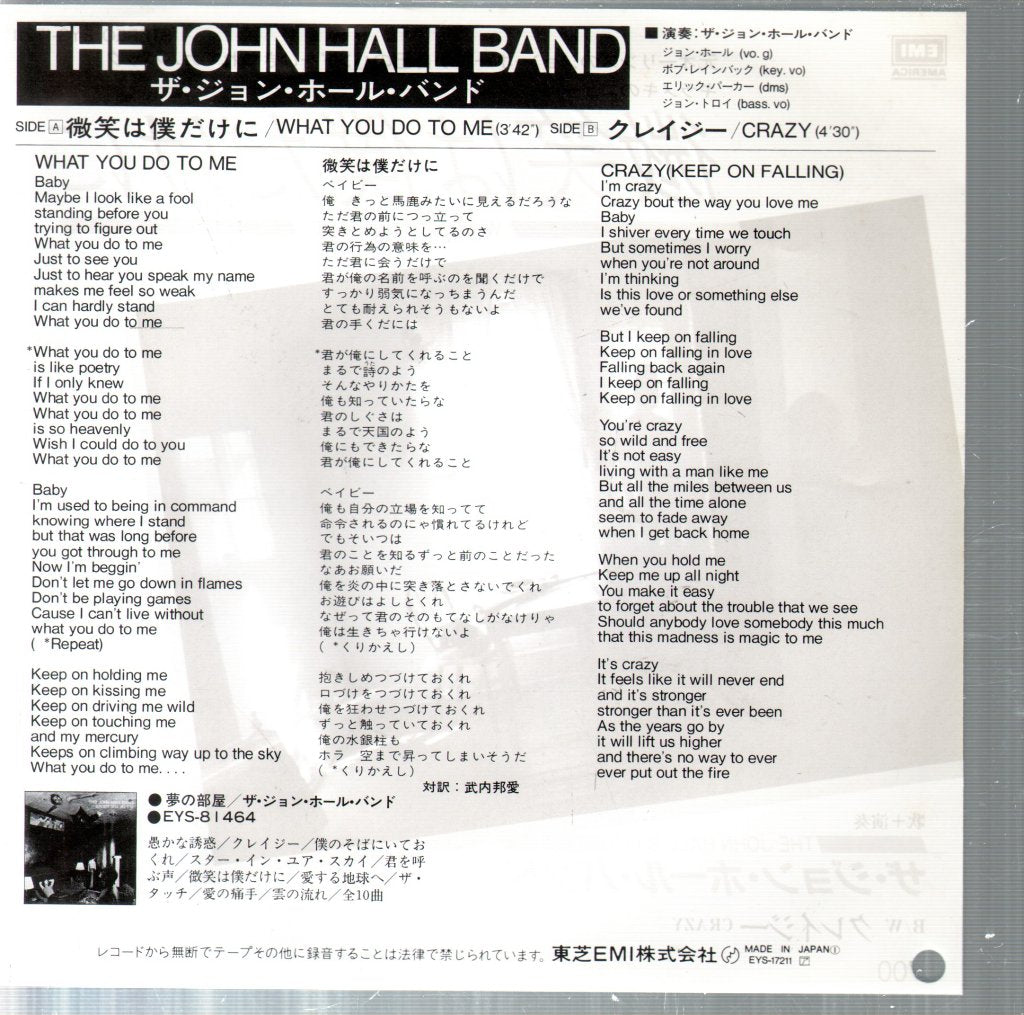 John Hall Band - What You Do To Me - 7 Inch