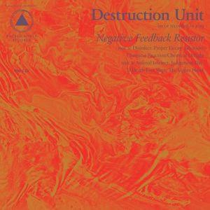 Destruction Unit - Negative Feedback Resistor - Cd