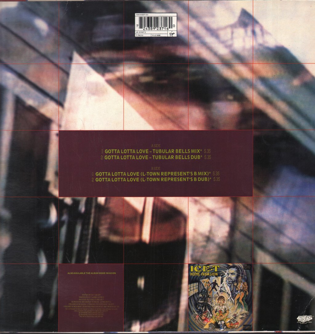 Ice-T - Gotta Lotta Love - 12 Inch