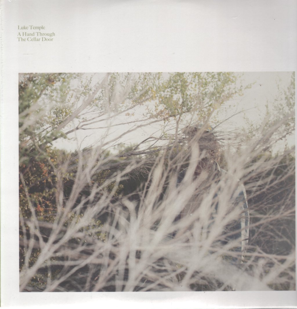 Luke Temple - A Hand Through The Cellar Door - Lp