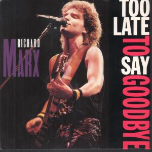 Richard Marx - Too Late To Say Goodbye - 7 Inch