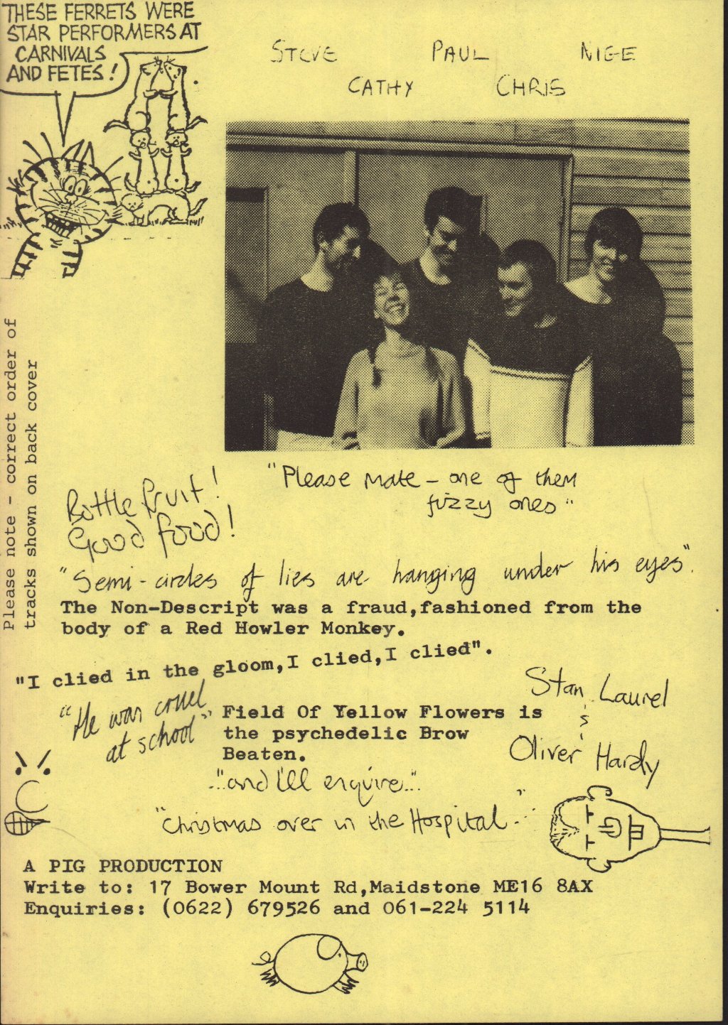 Performing Ferret Band - Lp - Lp