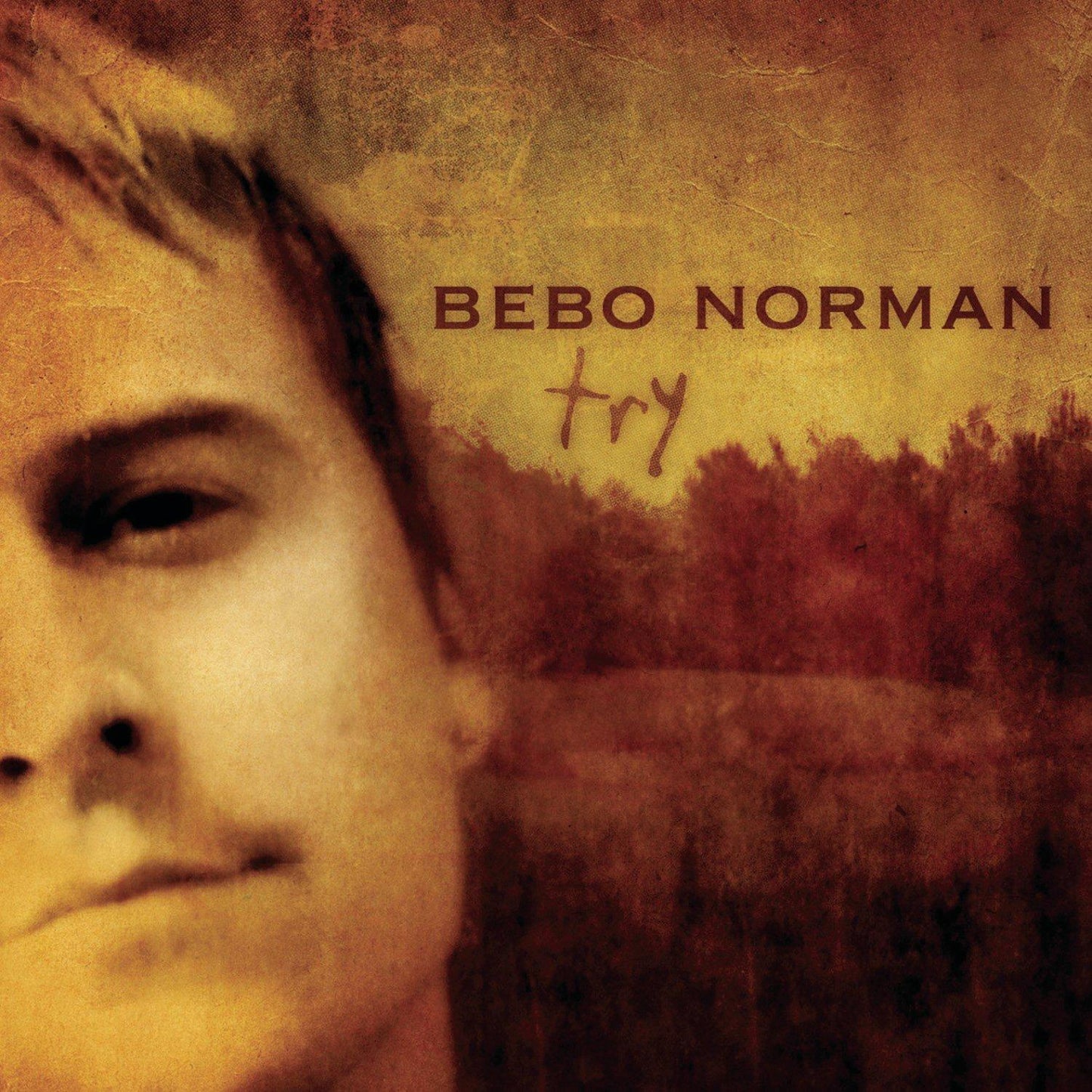 Bebo Norman - Try - Cd – Vinyl Tap