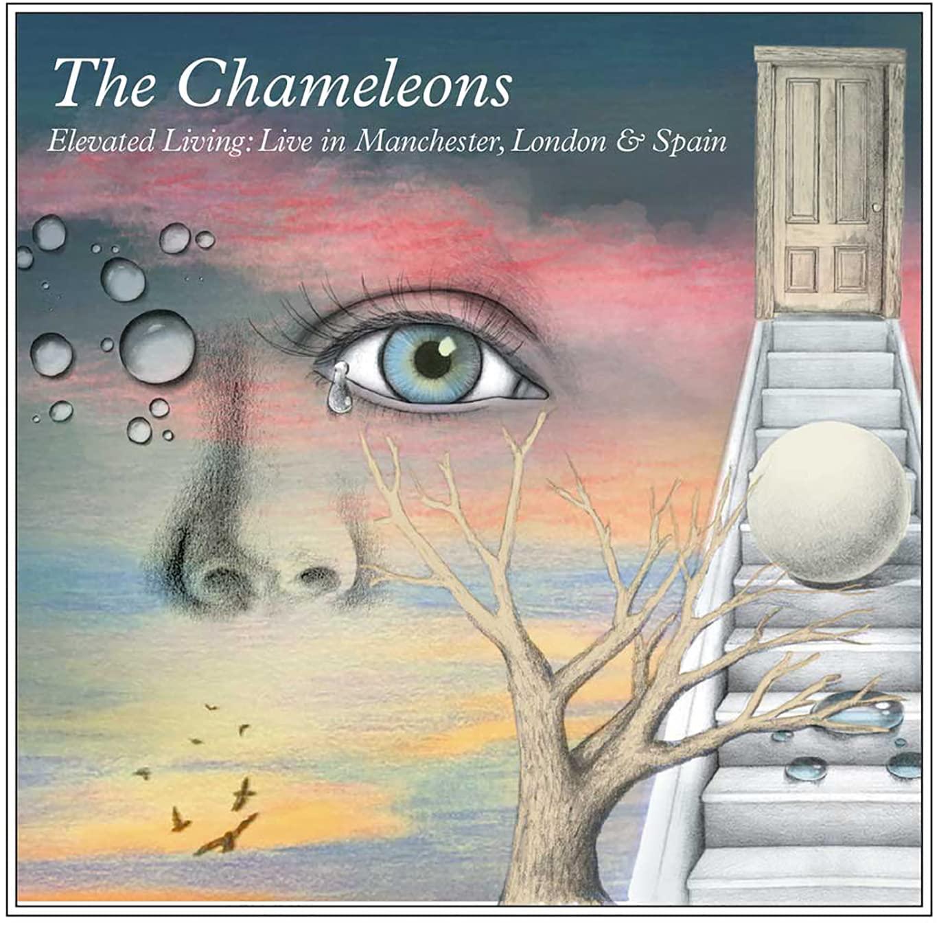 Chameleons - Elevated Living: Live In Manchester, London and Spain - Double Cd