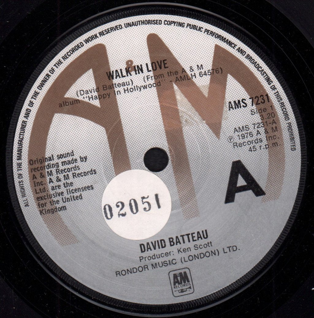David Batteau - Walk In Love - 7 Inch