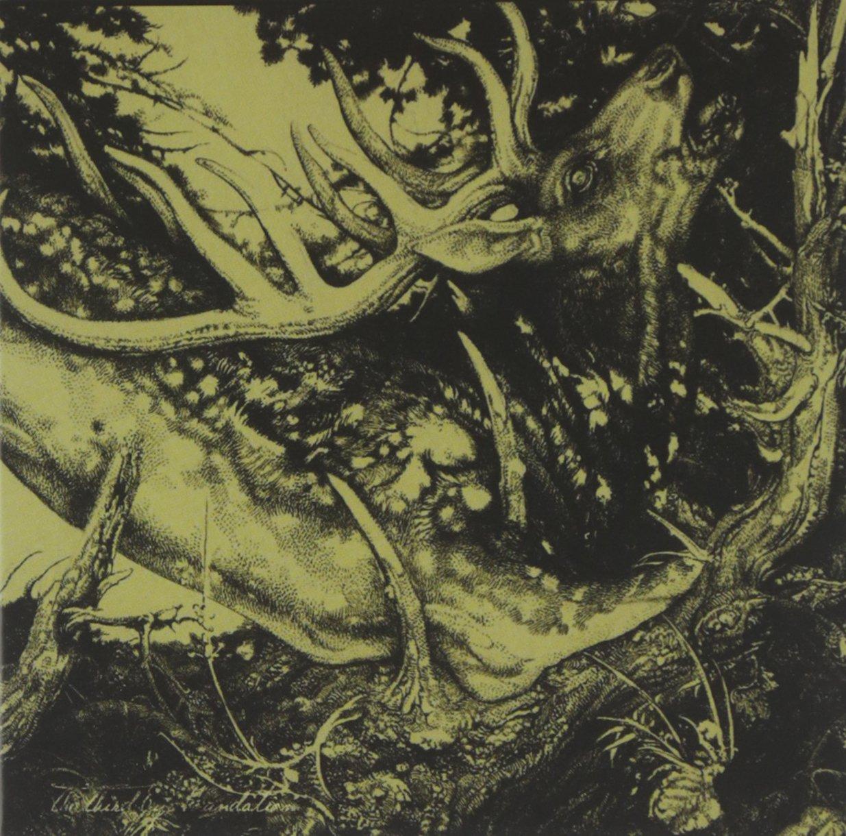 Third Eye Foundation - Dark - Cd