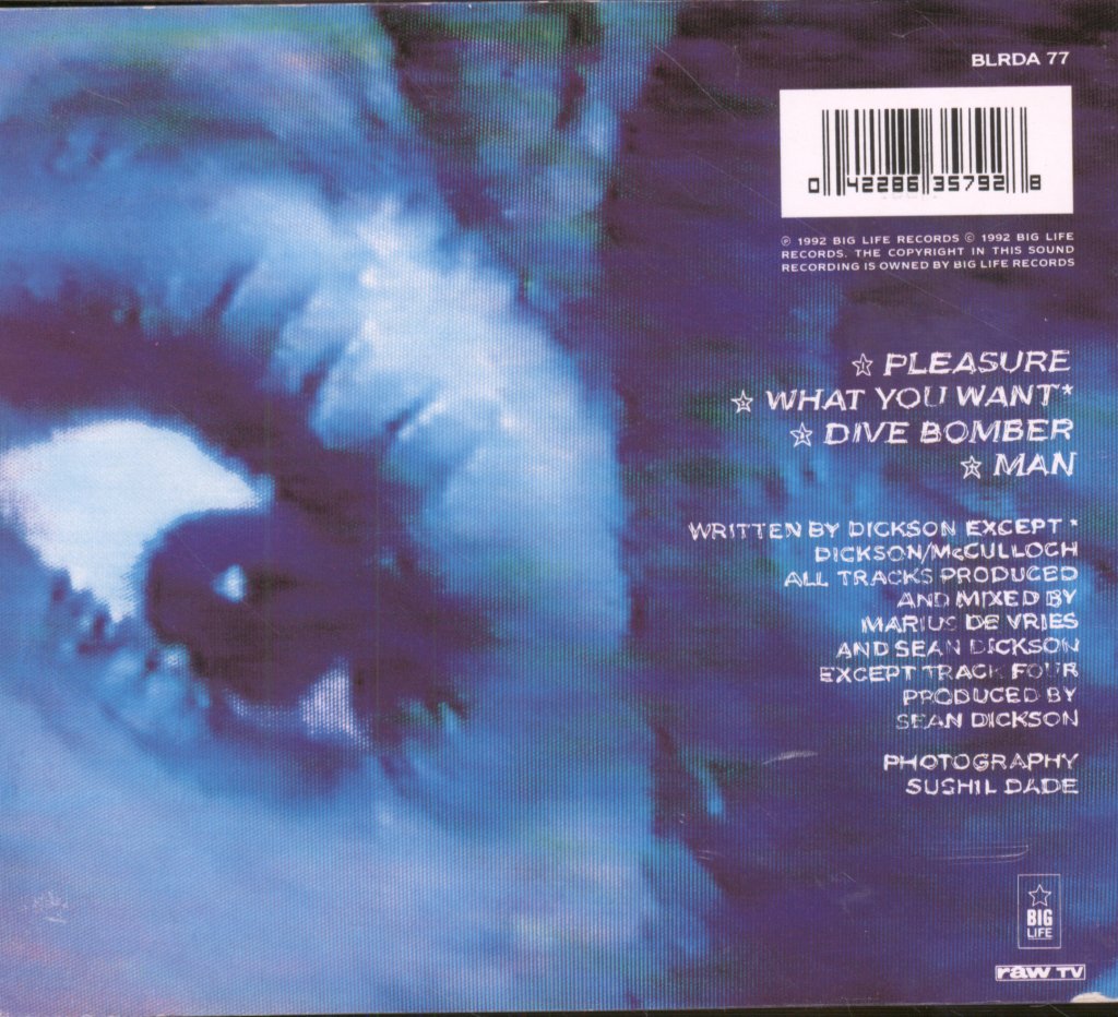 Soup Dragons - Pleasure - Cd