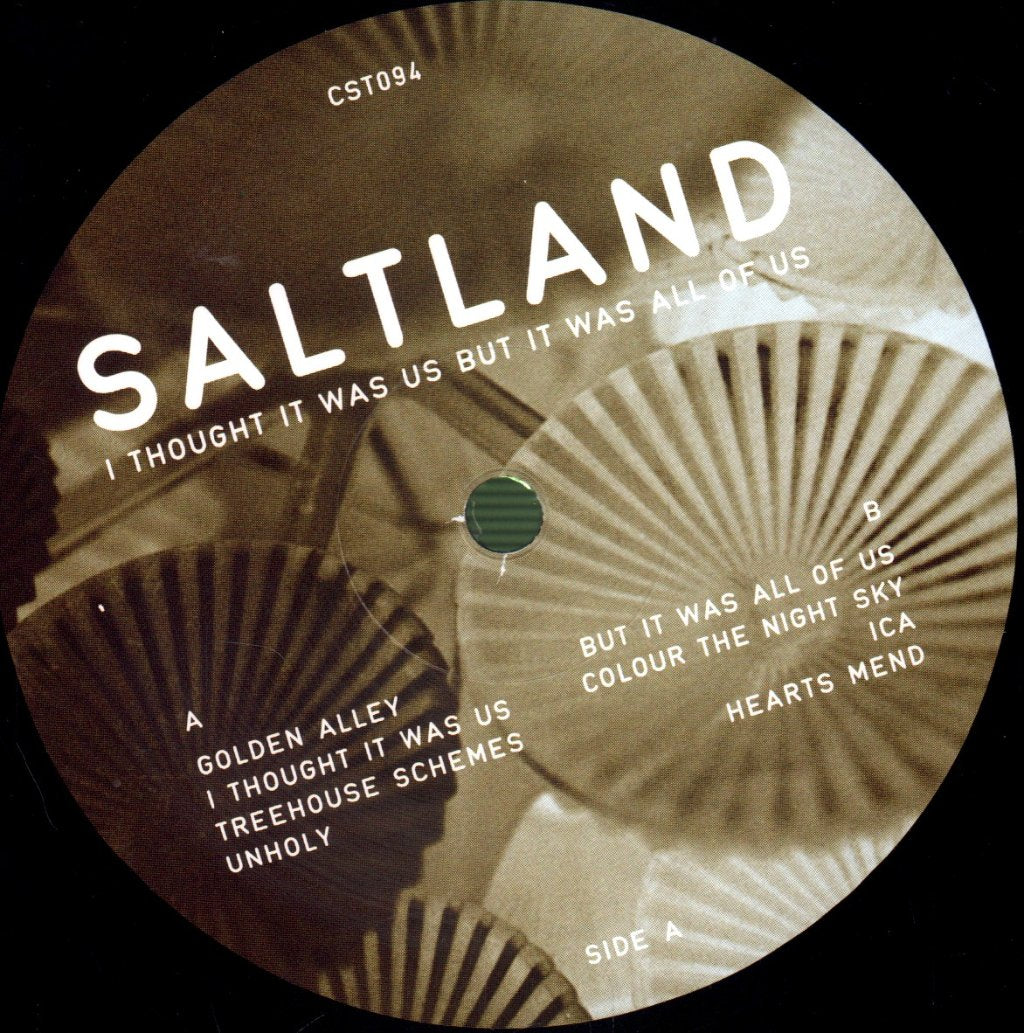 Saltland - I Thought It Was Us But It Was All Of Us - Lp