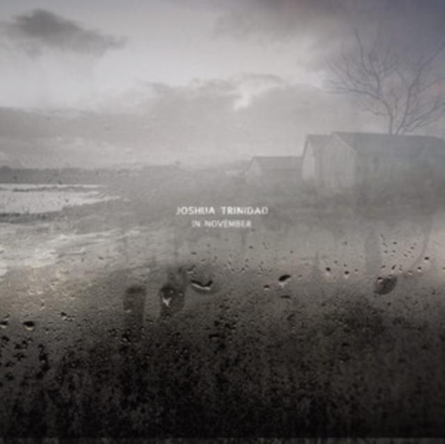 Joshua Trinidad - In November - Cd