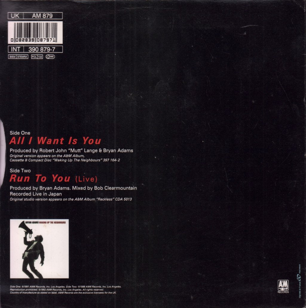 Bryan Adams - All I Want Is You - 7 Inch