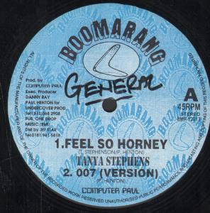 Tanya Stephens / Computer Paul / Gringo - Feel So Horney / 007 / No Ratings - 12 Inch