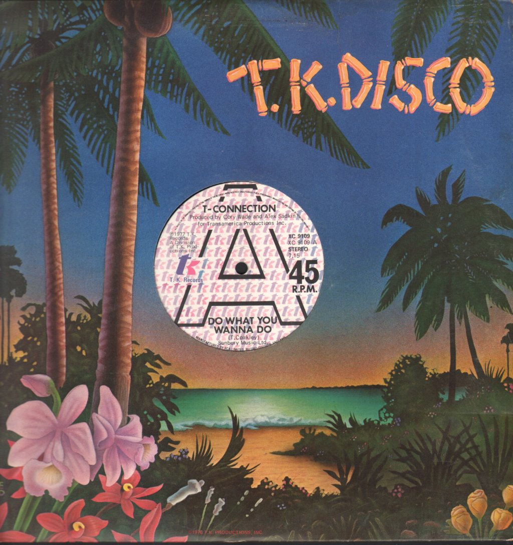 T Connection - Do What You Wanna Do - 12 Inch