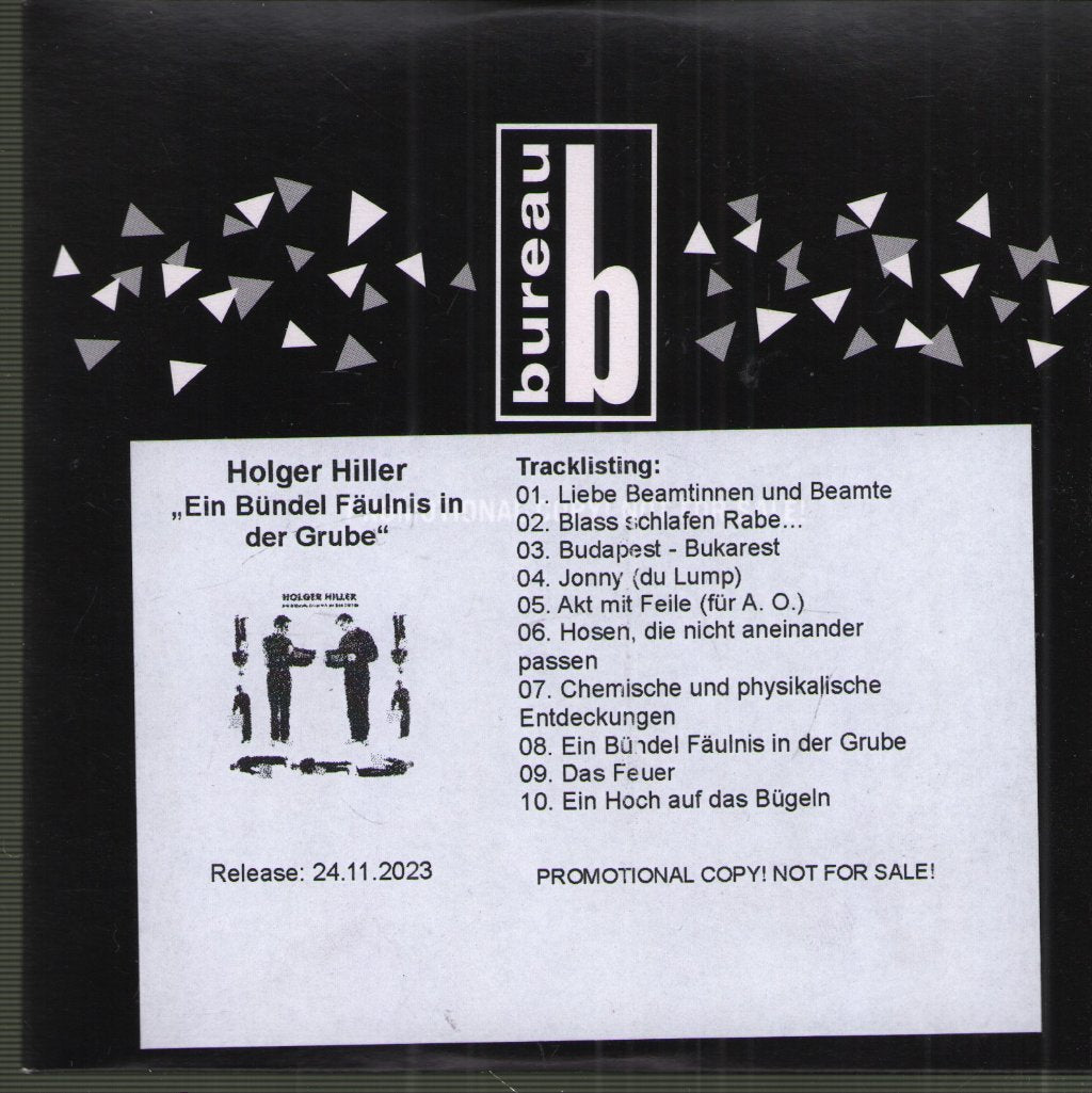 Holger Hiller - Ein Bündel Fäulnis In Der Grube - Cd