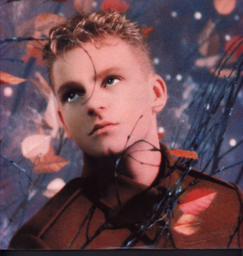 Erasure - Wild - Lp