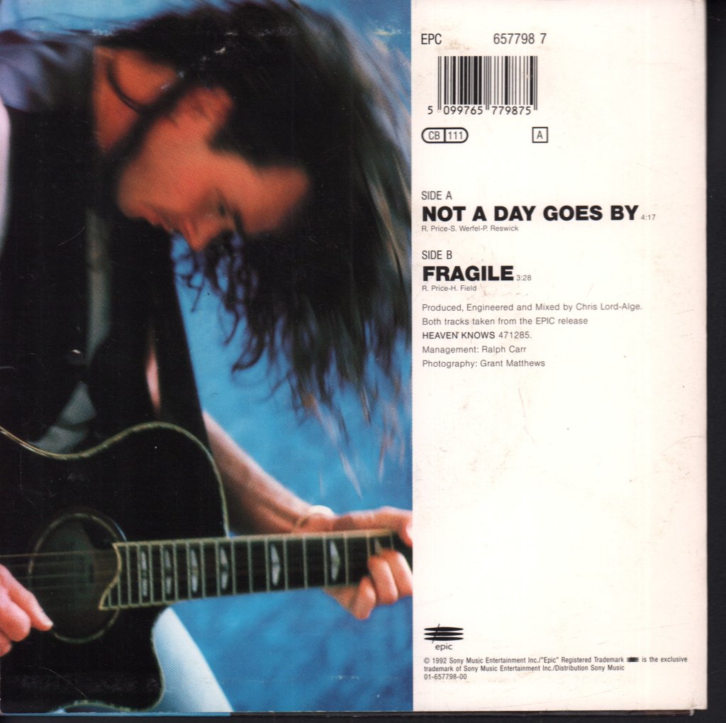 Rick Price (Rock/Metal) - Not A Day Goes By - 7 Inch