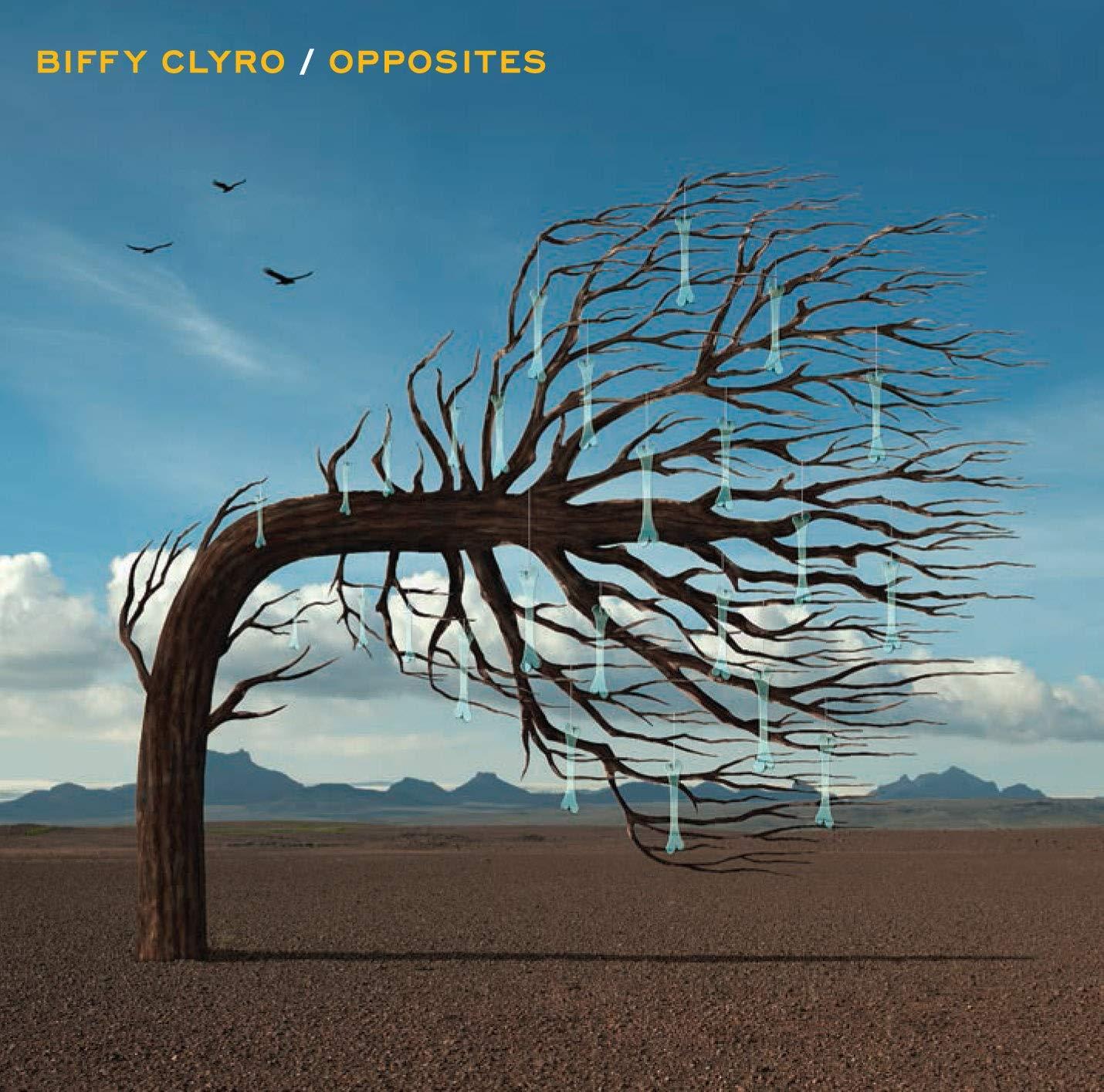 Biffy Clyro - Opposites - Cd
