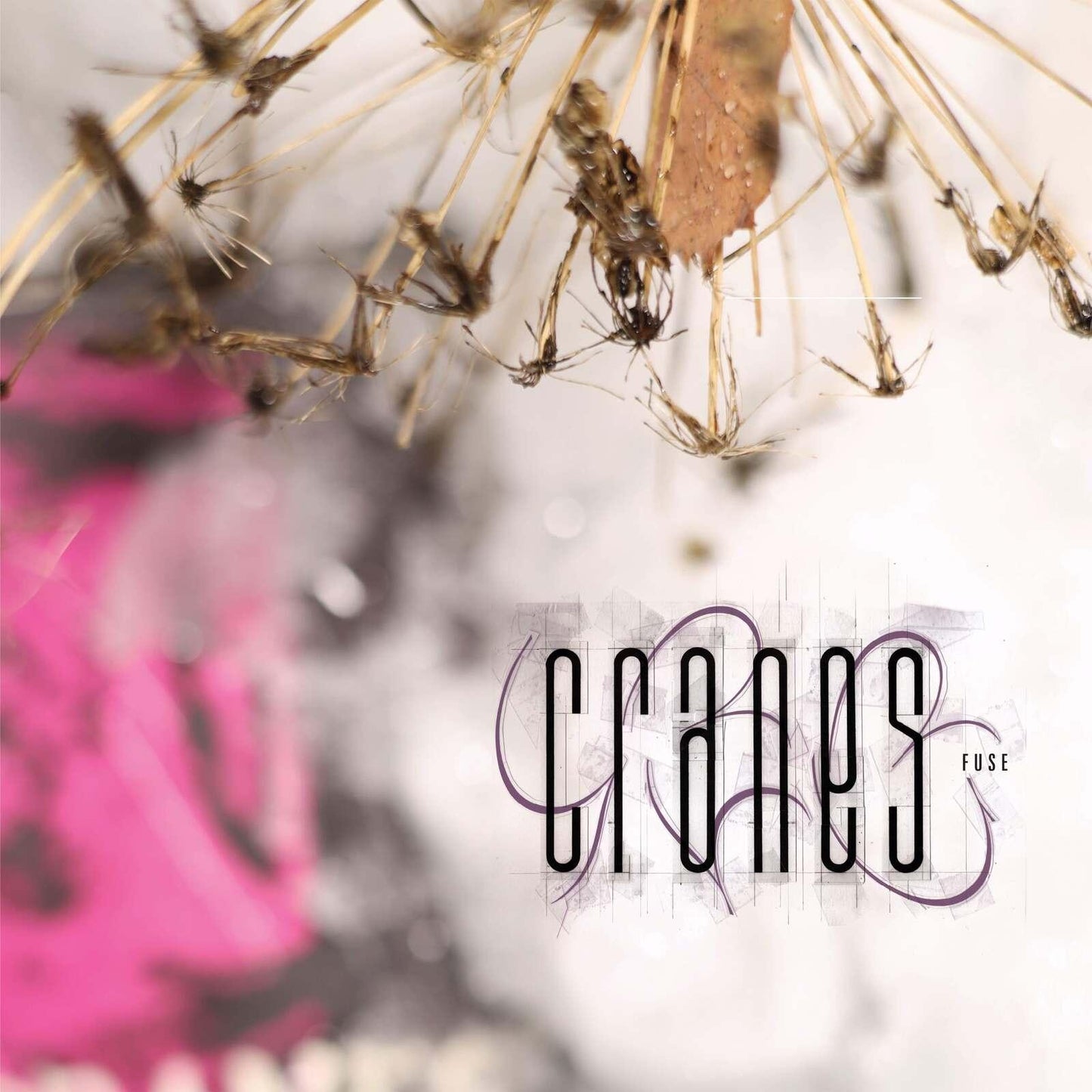 Cranes - Fuse - Cd