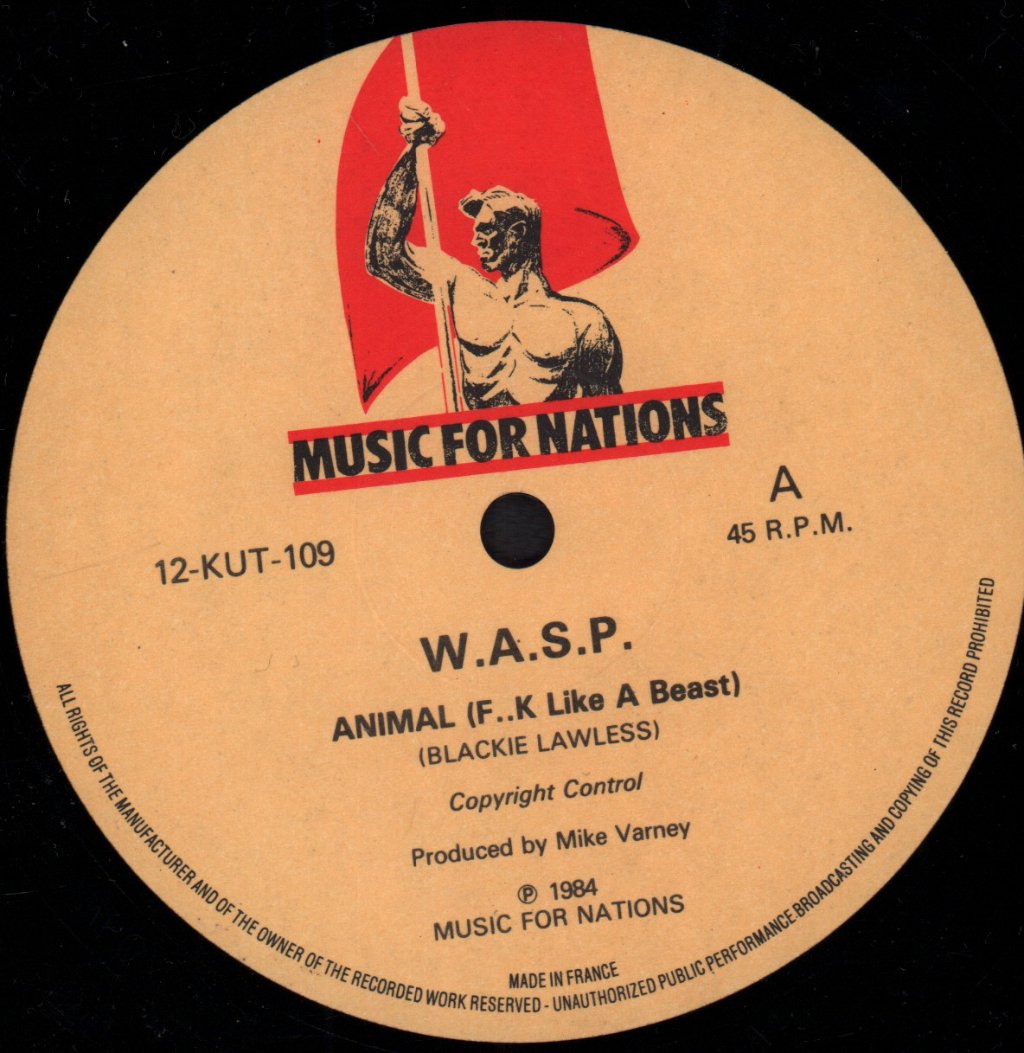 Wasp - Animal - 12 Inch