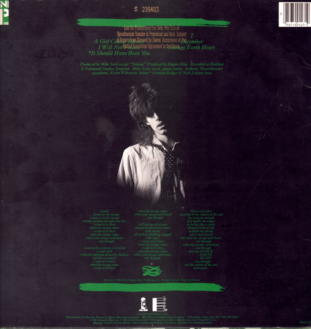 Waterboys - Waterboys - 12 Inch