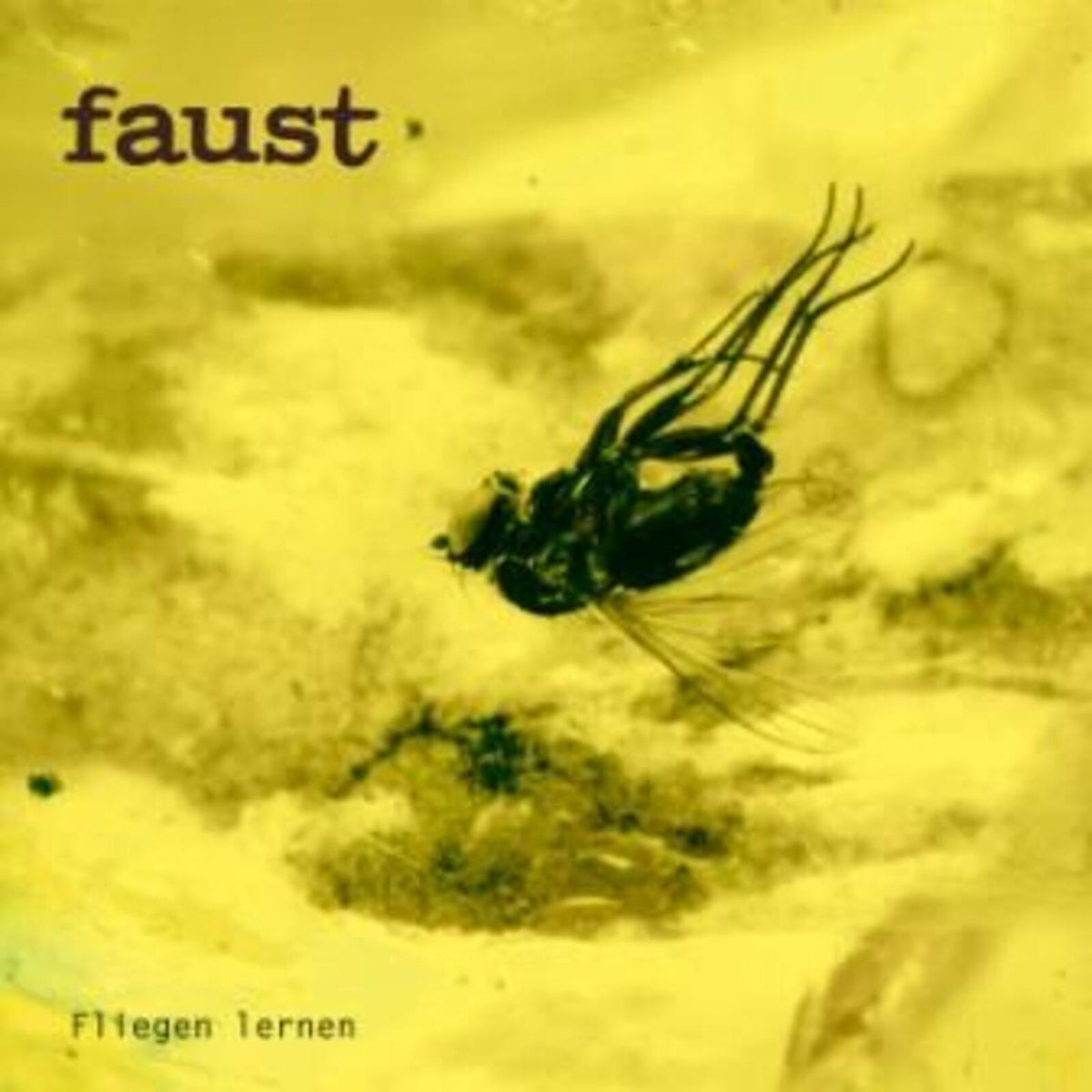 Faust - Fliegen Lernen (Curated By Gunther Wusthoff) - Lp
