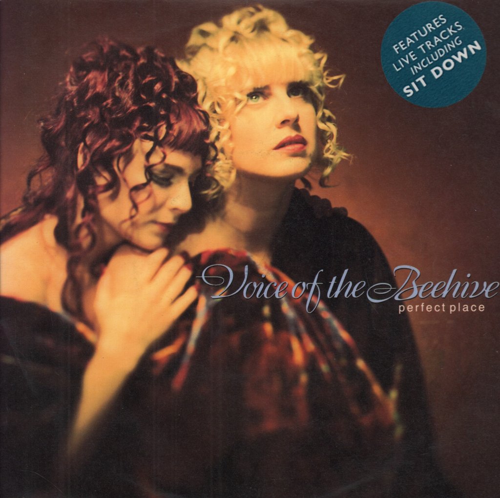 Voice Of The Beehive - Perfect Place - 7 Inch