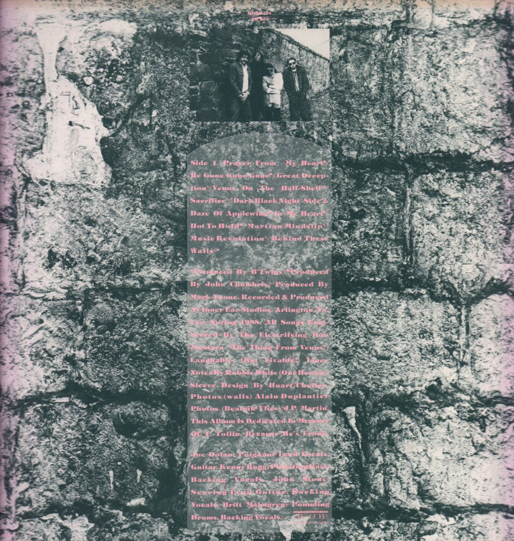 Beatnik Flies - Behind These Walls - Lp