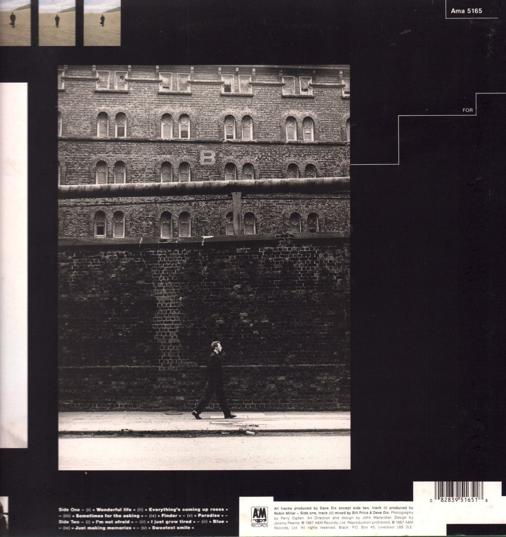 Black - Wonderful Life - Lp