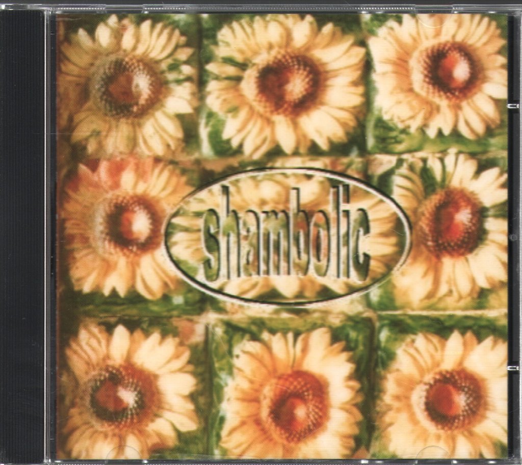 Shambolic - Wondering Why? - Cd
