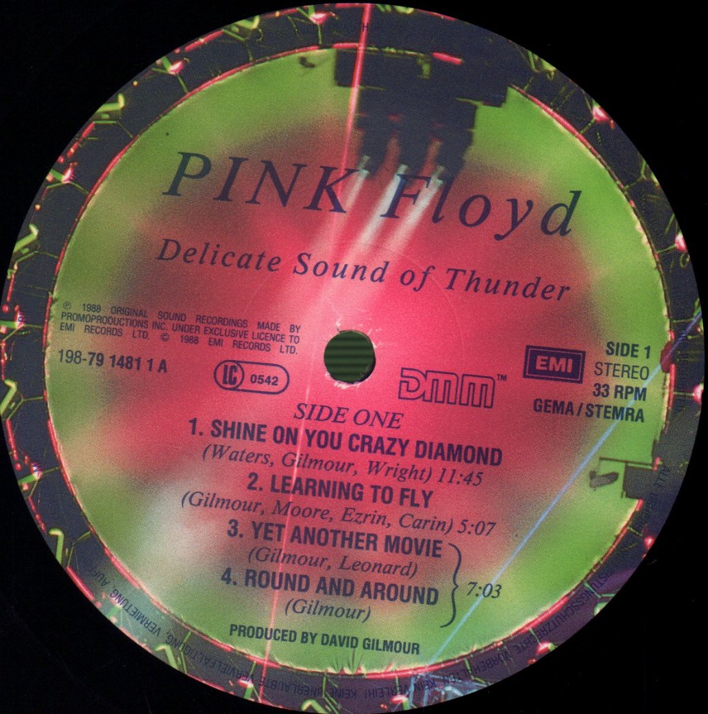 Pink Floyd - Delicate Sound Of Thunder - Lp