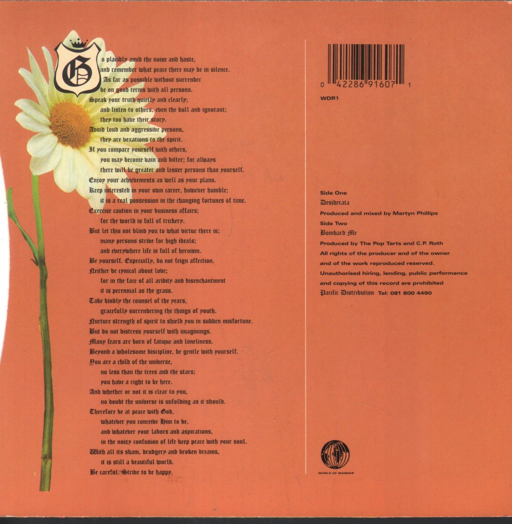 Pop Tarts - Desiderata - 7 Inch