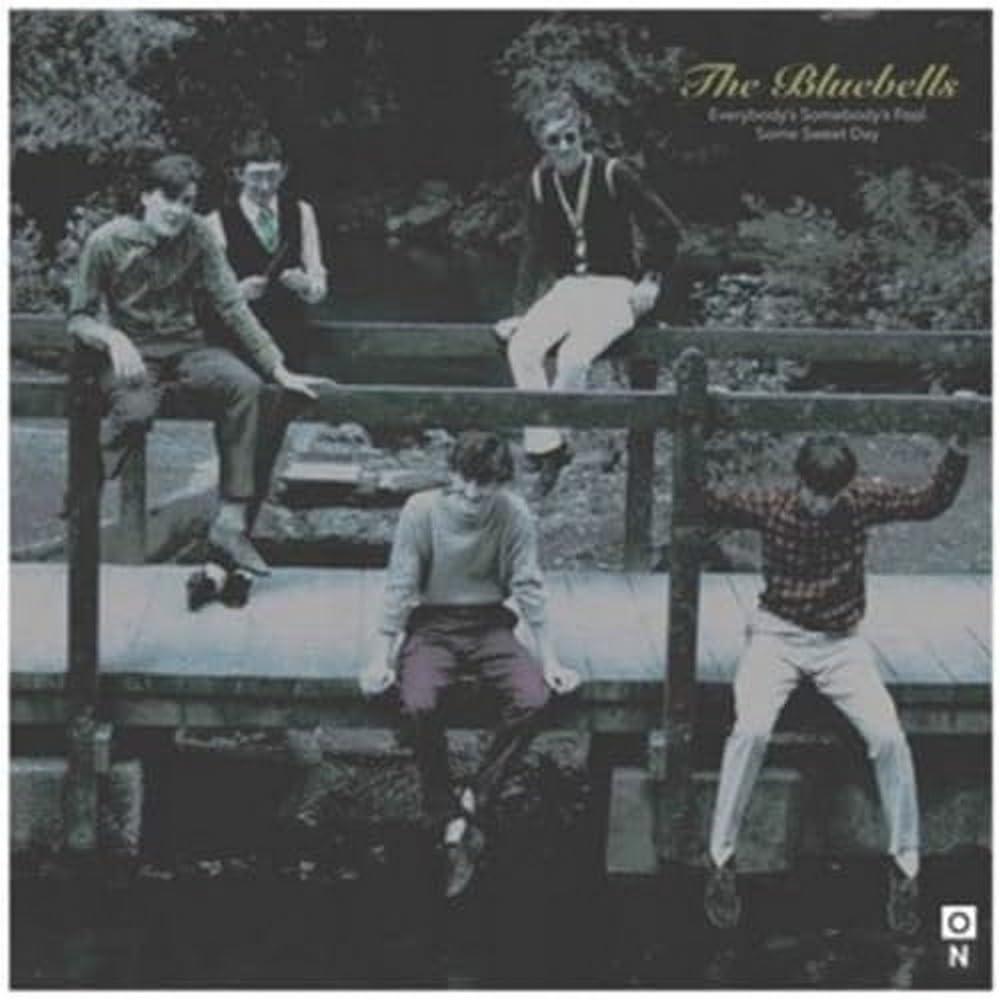Bluebells - Everybody's Somebody's Fool - 7 Inch