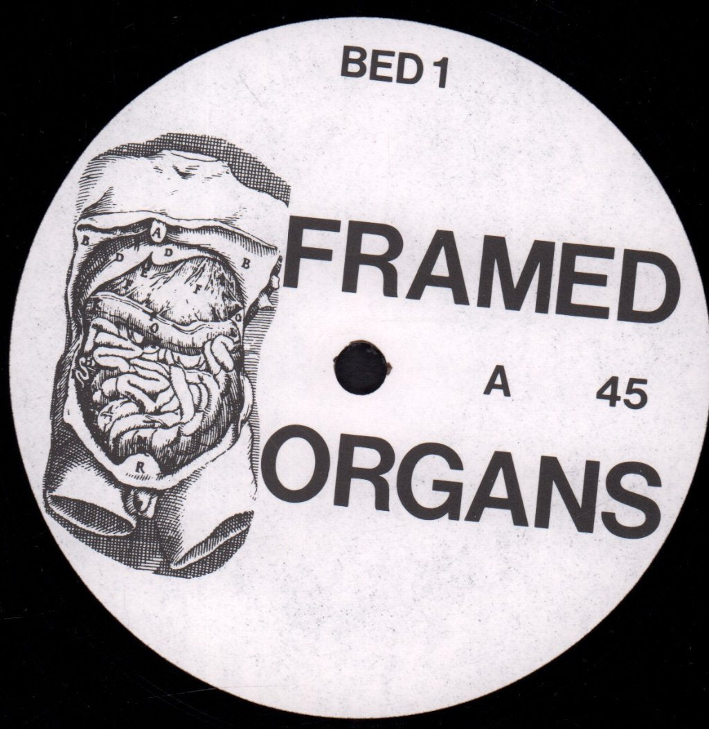 Framed (90'S Group) - Organs - 12 Inch