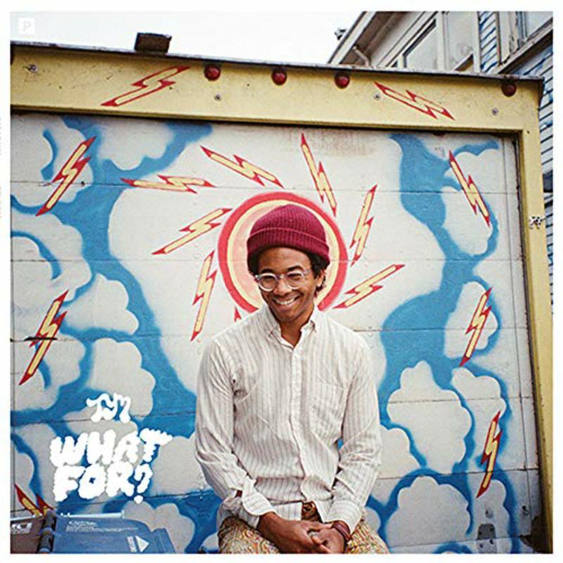 Toro Y Moi - What For - Lp