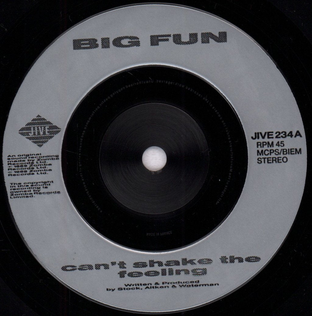 Big Fun - Can't Shake The Feeling - 7 Inch